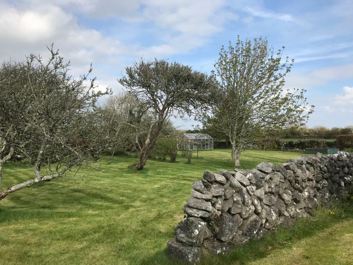 Corrib View Farmhouse Γκάλγουεϊ Εξωτερικό φωτογραφία